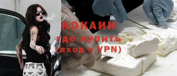 стаф Алзамай