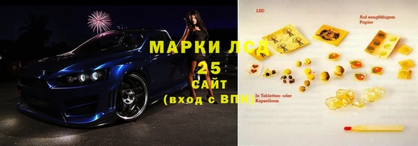 стаф Алзамай