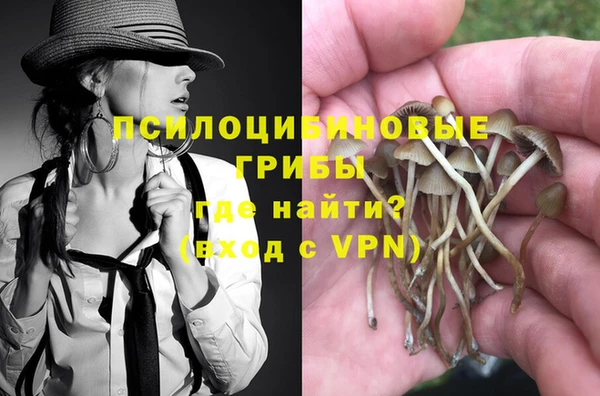 гашик Алексеевка