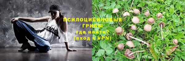 стаф Алзамай