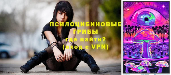 гашик Алексеевка