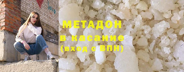 стаф Алзамай