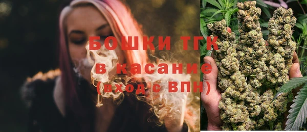 гашик Алексеевка