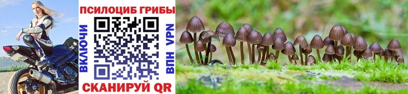 Галлюциногенные грибы GOLDEN TEACHER  где купить   Выкса 