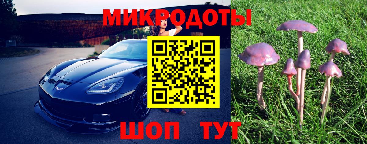 Галлюциногенные грибы мицелий Выкса