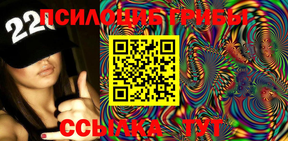 Выкса  Псилоцибиновые грибы Psilocybine cubensis  Галлюциногенные грибы прущие грибы  Вход с VPN 